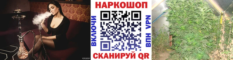 ГАШИШ Салехард