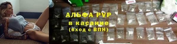 прущие крисы Горняк