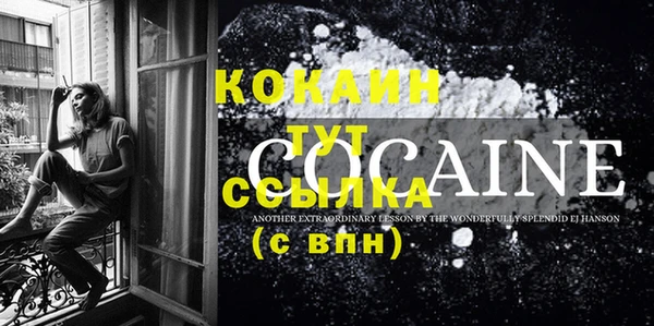 прущие крисы Горняк