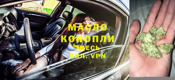 прущие крисы Горняк