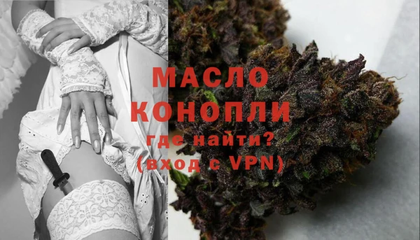 прущие крисы Горняк
