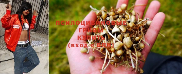 прущие крисы Горняк