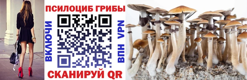 Купить закладки  Салехард  Галлюциногенные грибы мицелий 